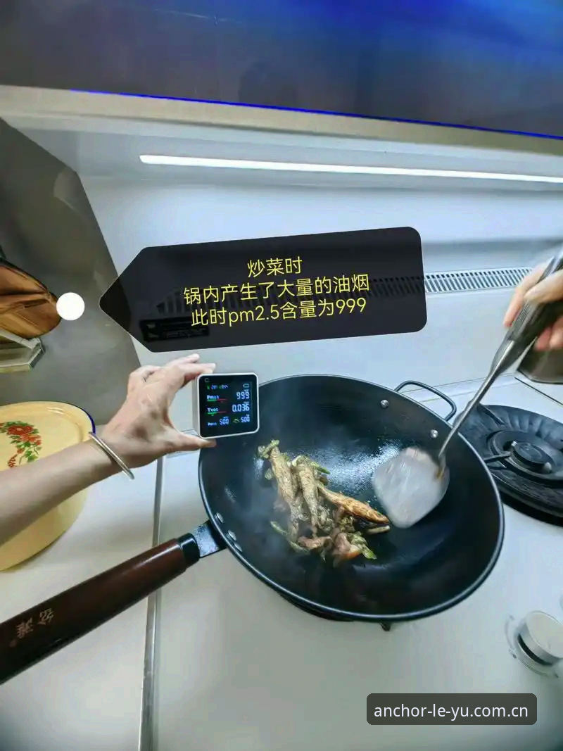乐鱼官网兼容版哪个好 3年实测老用户告诉你:乐鱼官网兼容版哪个好?——锚点向心QG8C版本的使用心得